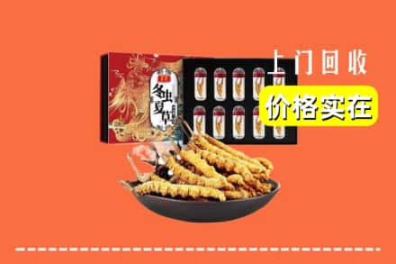 天柱县回收冬虫夏草