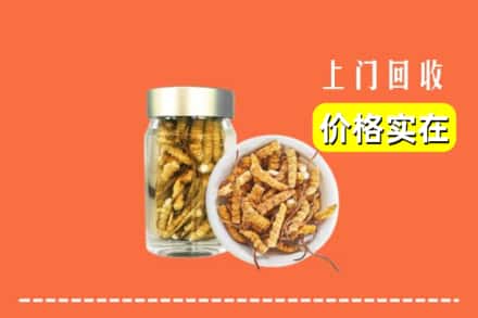 天柱县回收散虫草