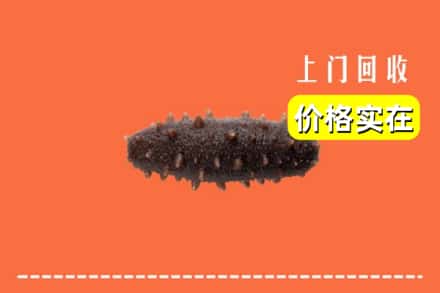 天柱县回收海参