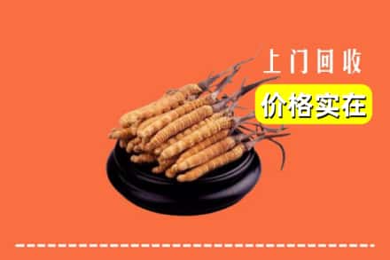 天柱县回收冬虫夏草